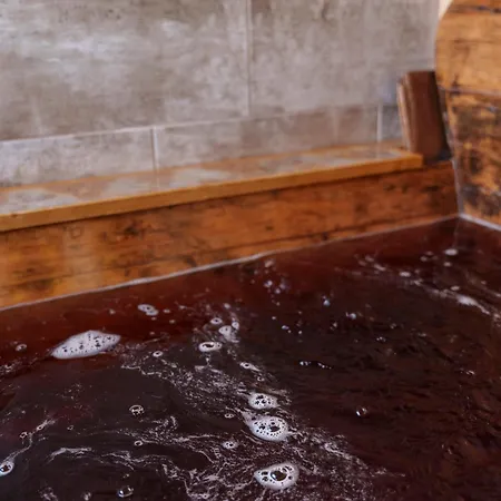 Panoramico D'orta Only Adults Hotel 3*